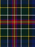 Allison Modern Light Weight Tartan Scarf