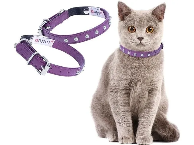 Cat Collar, Cat Face Pattern 10Mmx20-30Cm