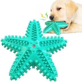 Enrichment Starfish Squeaker Dog Toy