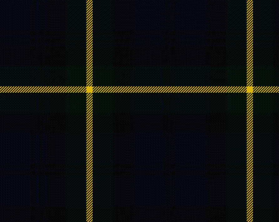 Gordon Modern Tartan Scarf