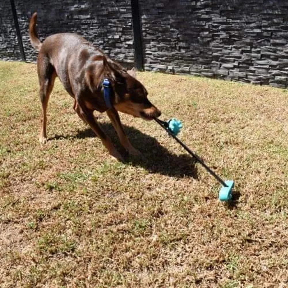 Outdoor Tug Ball With Tie Out Stake