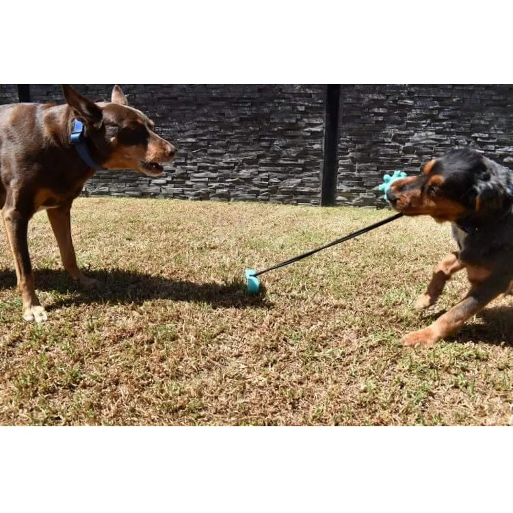 Outdoor Tug Ball With Tie Out Stake