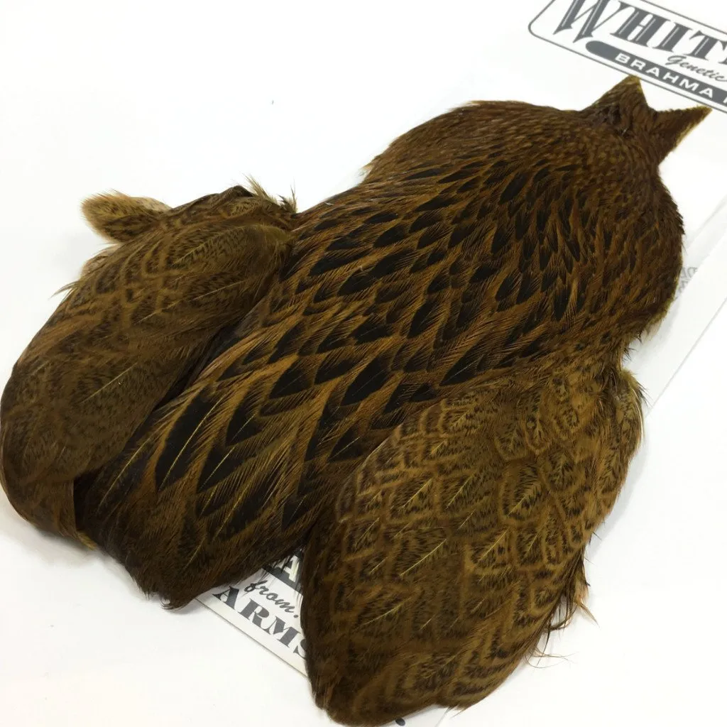 Whiting Brahma Hen Cape