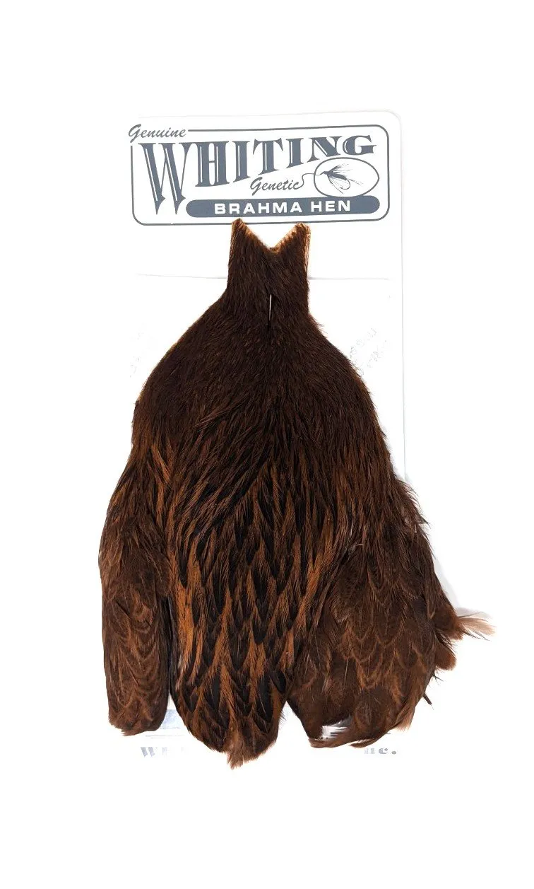 Whiting Brahma Hen Cape