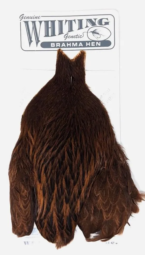 Whiting Brahma Hen Cape