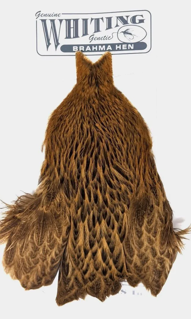 Whiting Brahma Hen Cape