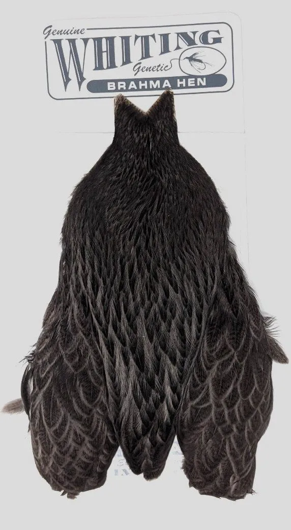 Whiting Brahma Hen Cape