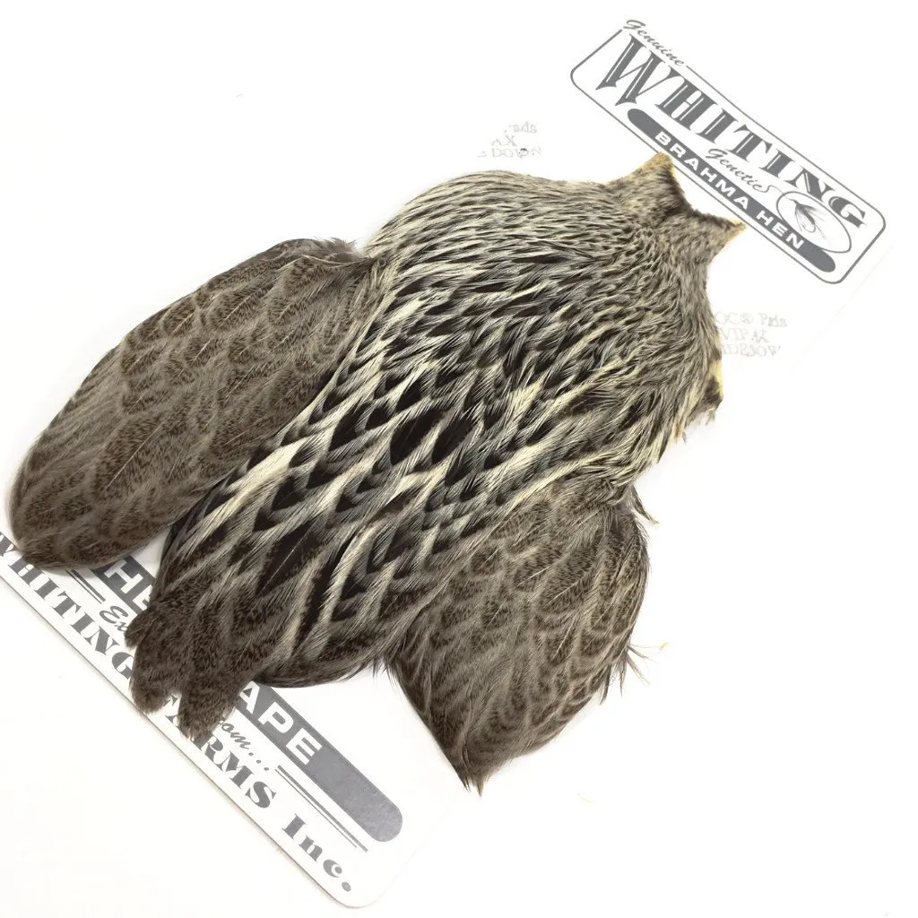 Whiting Brahma Hen Cape